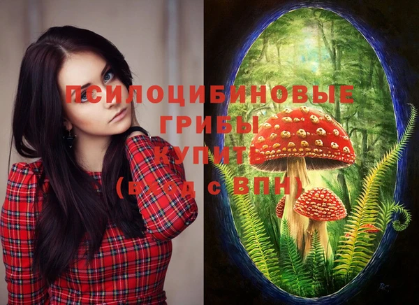 герыч Новый Уренгой