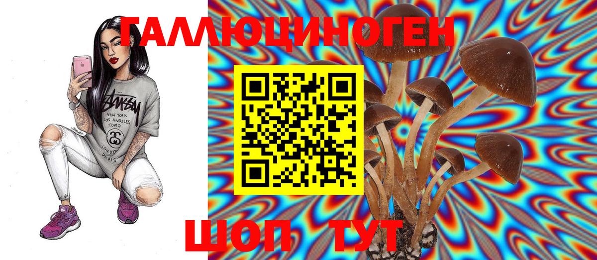 Галлюциногенные грибы Psilocybe  Псилоцибиновые грибы Cubensis  Шахты 