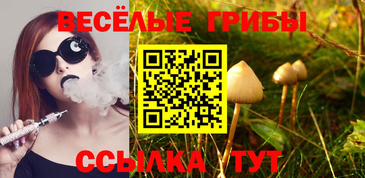 Галлюциногенные грибы Psilocybine cubensis  Галлюциногенные грибы мицелий  Вход с VPN  Шахты 